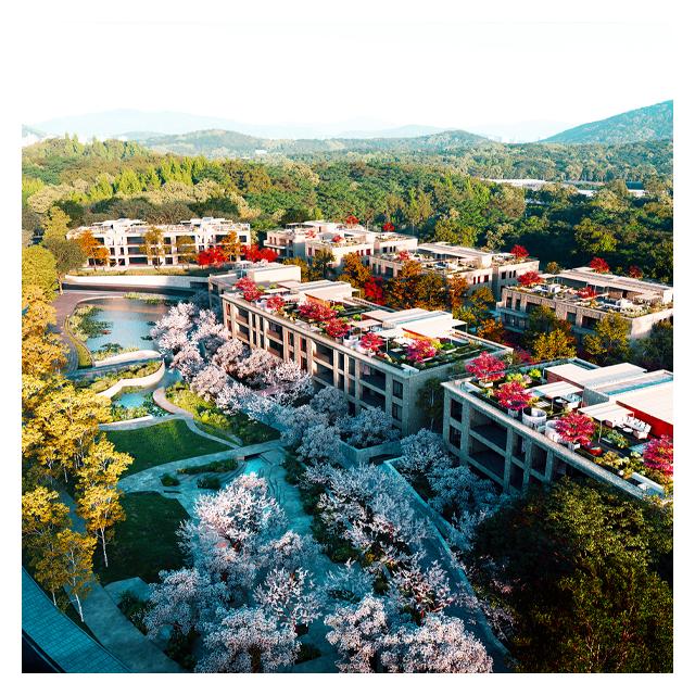 The Growing Legacy 숲이라는 자산을 소유하다